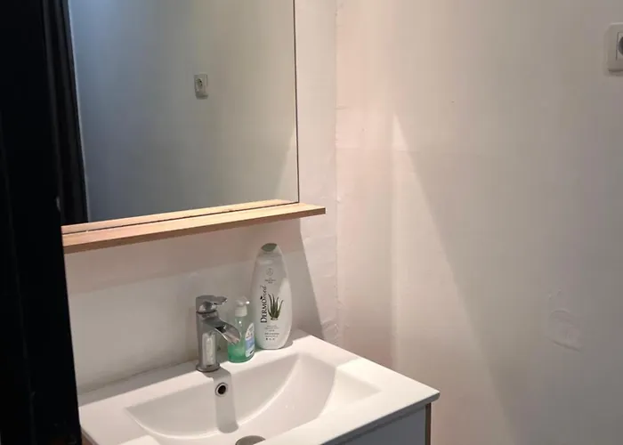 Apartment 3- Le Frene